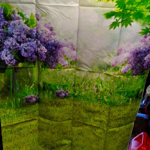 Photo Backdrop - Picture 2 of 2